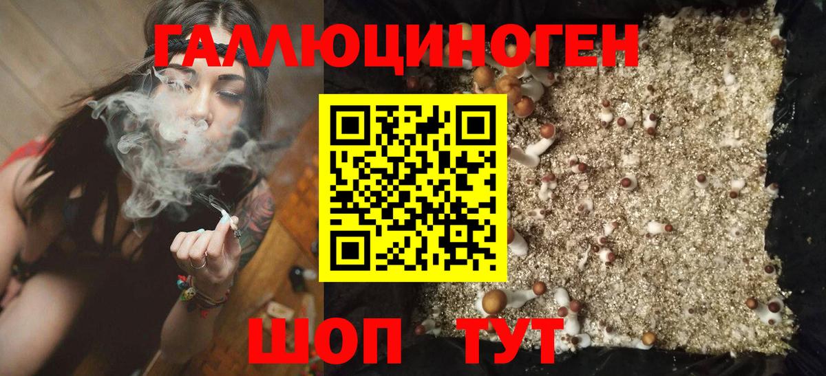 Галлюциногенные грибы мицелий Амурск